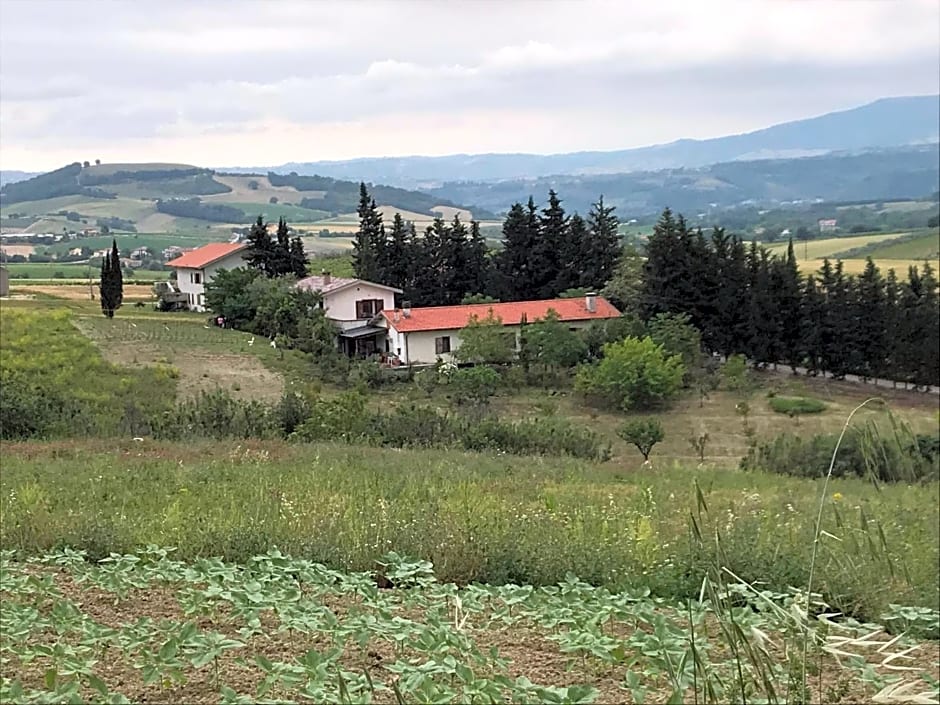 Il Bed & Breakfast Prato San Lorenzo – Nocciano, MO