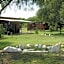 Gum Tree Lodge Backpackers