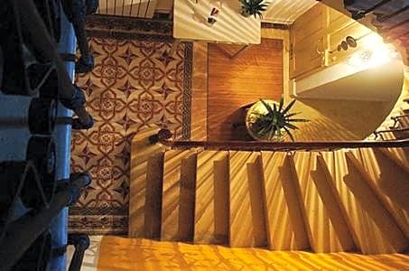 Maison Velvet