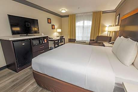 Comfort Inn & Suites Near Universal - N. Hollywood - Burbank