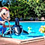 AHORN Harz Hotel Braunlage