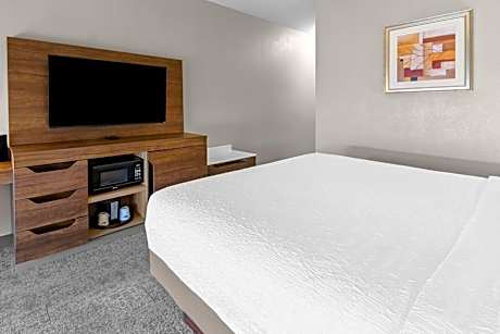 1 King Bed Study With Sofabed Nonsmoking