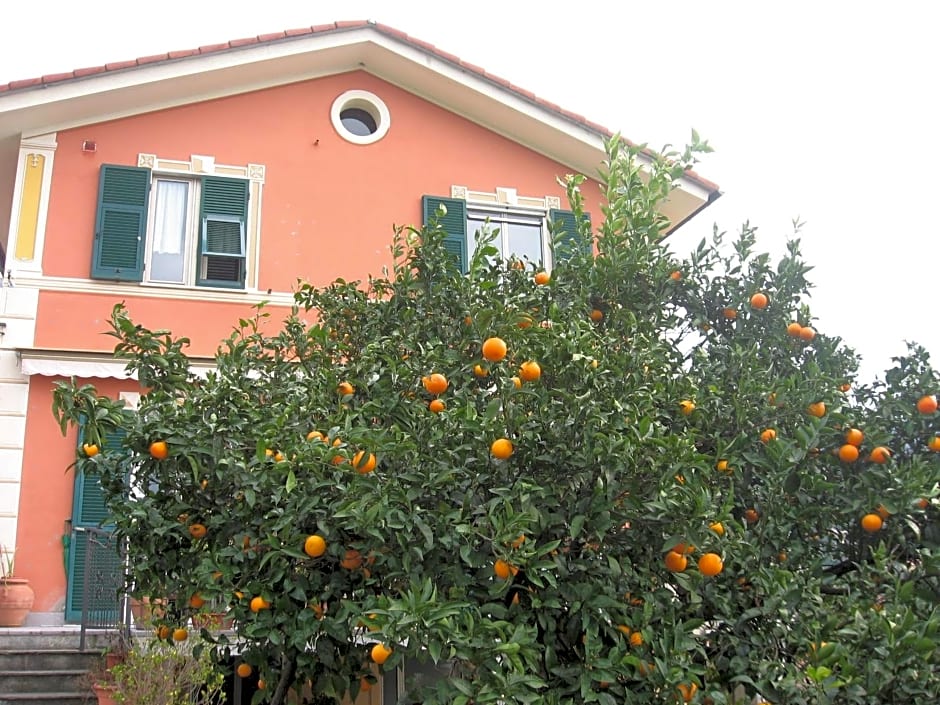 Le Clementine B&B