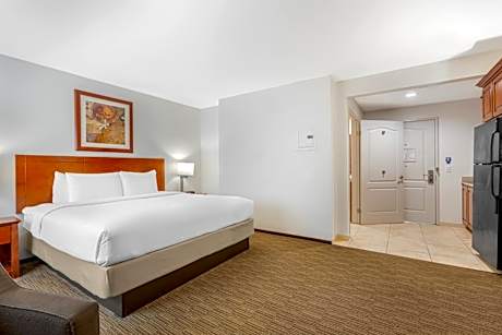 Standard Rom, 1 King Bed, Accessible Tub, Non Smoking