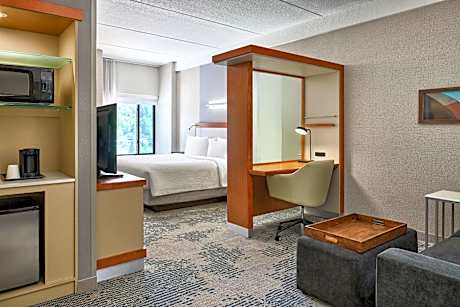 King Suite with Sofa Bed