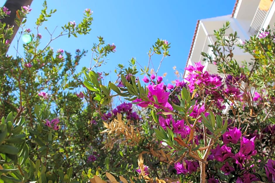 Apartamentos Niu D Aus