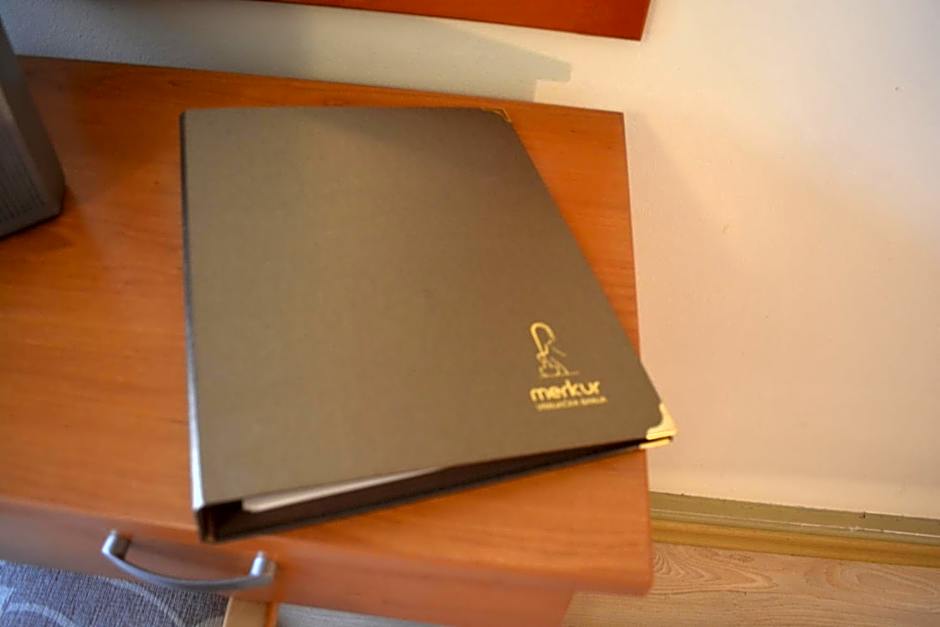 Medical and Spa Centre Merkur