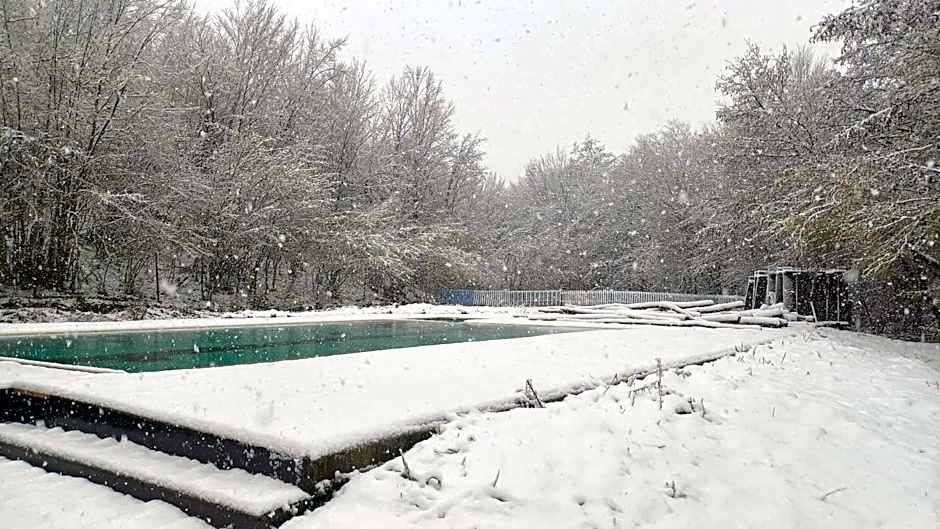 Butterfly Butik Hotel