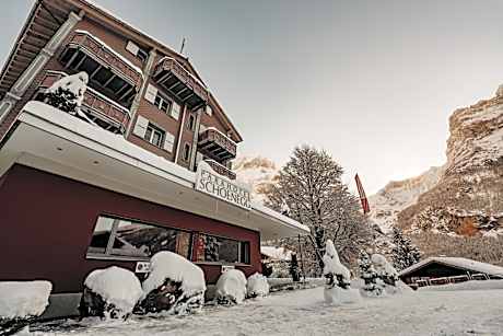 Parkhotel Schoenegg