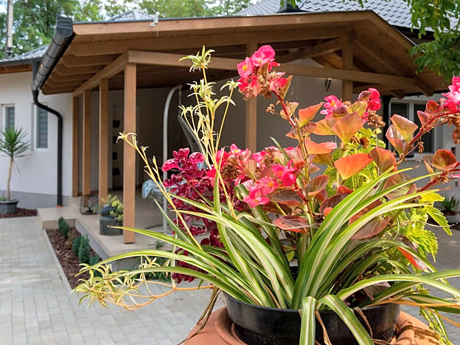 Bokor vendégház - Levendula apartman