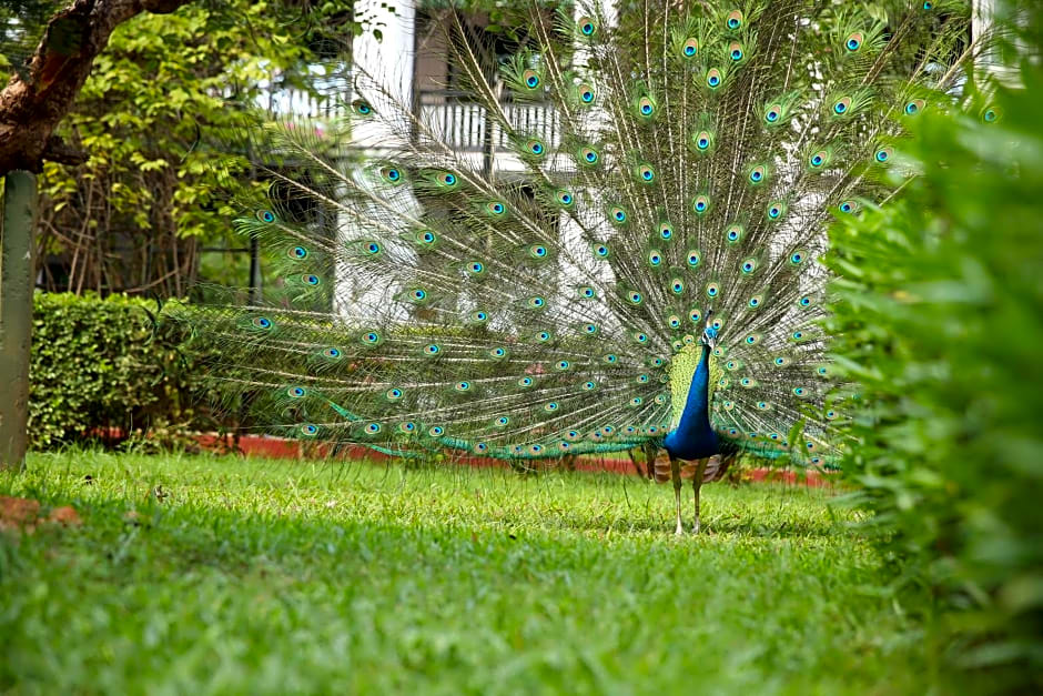 The Gateway Hotel Pasumalai Madurai