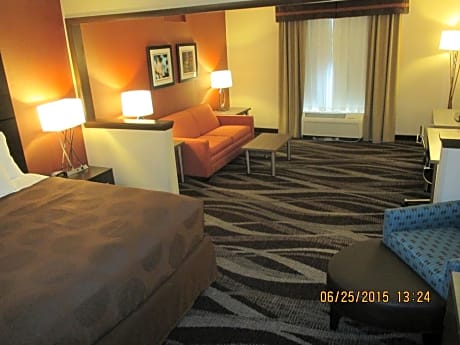 Suite-1 King Bed, Non-Smoking, Microwave And Refrigerator, 40 Inch Lcd Television, High Speed Intern
