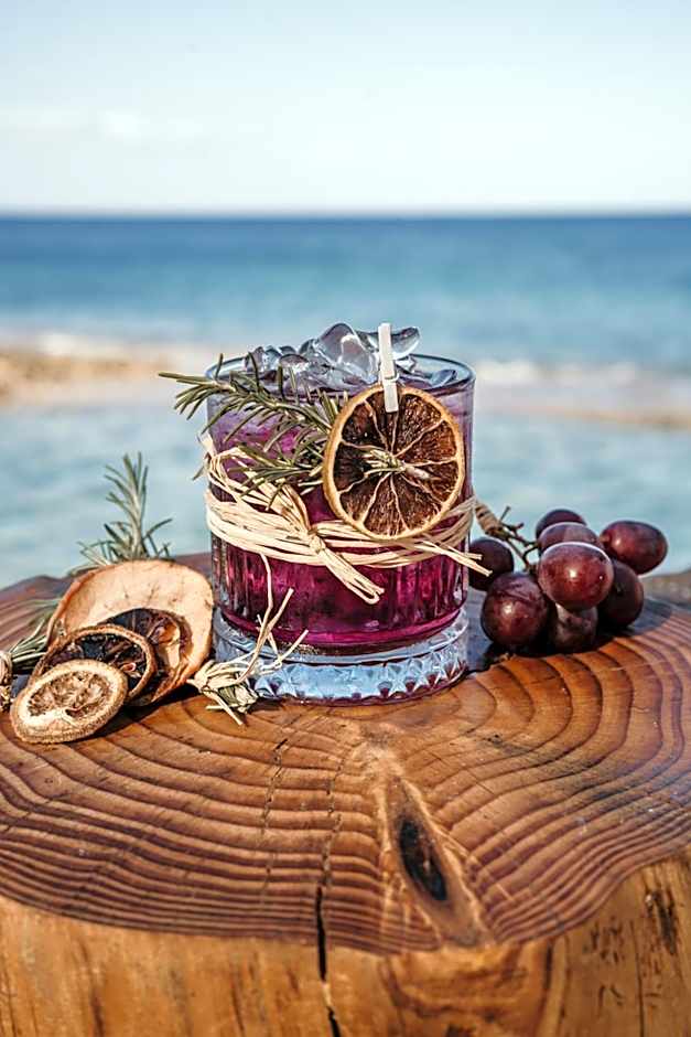 Arkin Palm Beach Hotel