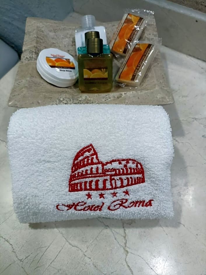 Roma Guadalajara in downtown