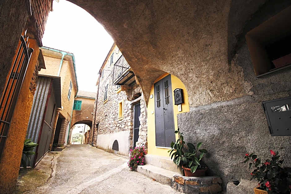 Agriturismo IL POGGIO DI VASIA CITR00864-AGR-0001