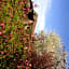 B&B Bekersveld