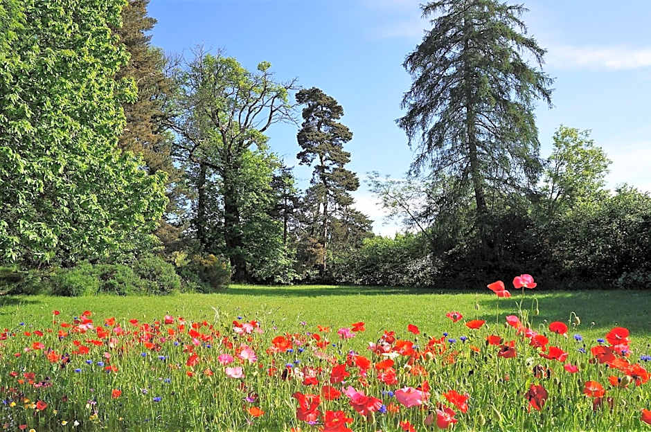 Domaine des Maréquiers chambre Mélilot