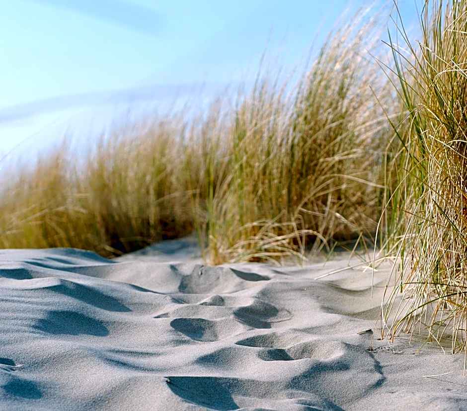Fletcher Landgoedhotel Renesse