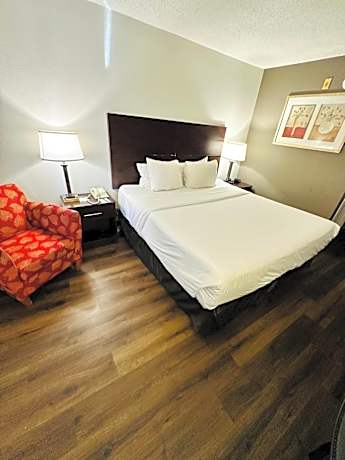 King Room - Non-Smoking