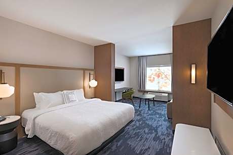 Suite, 1 King, Sofa bed
