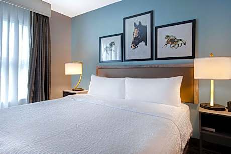 1 King Bed Studio Suite Nonsmoking