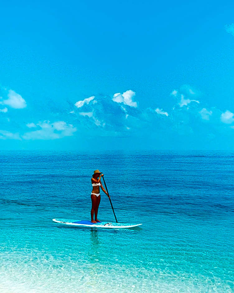 Wilson Island