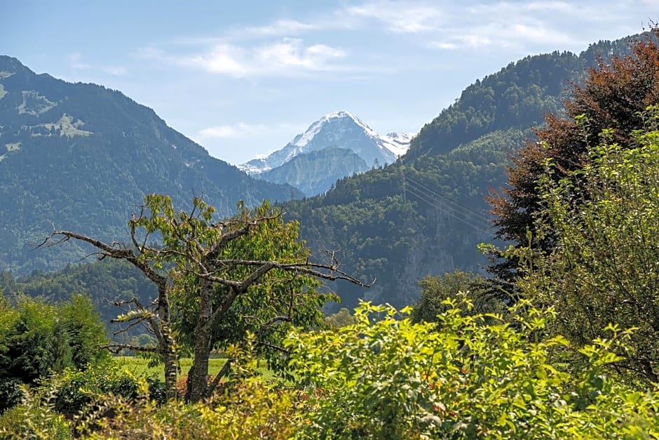 Salzano Basic Rooms Interlaken
