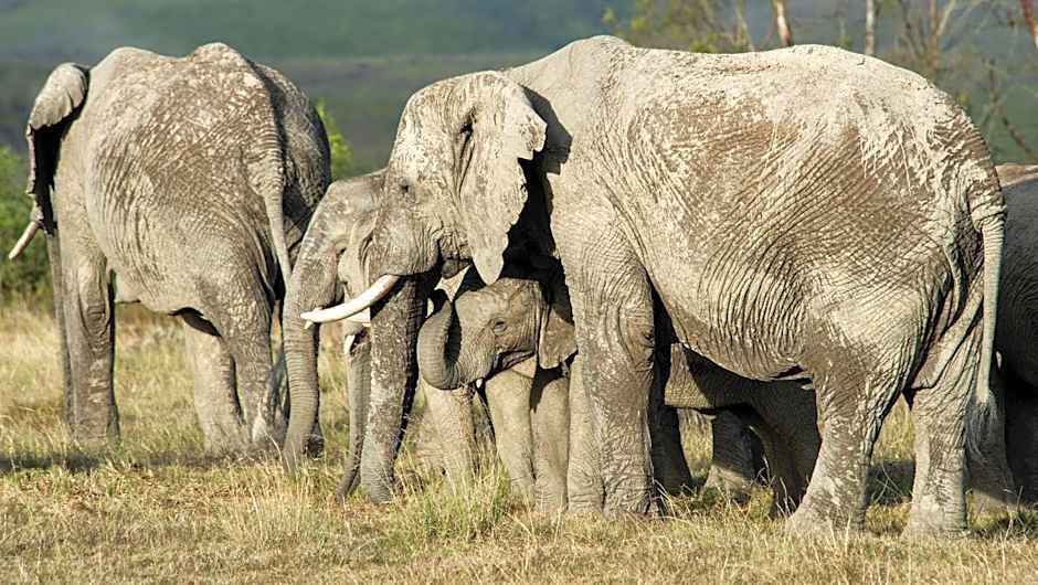 Gondwana Game Reserve