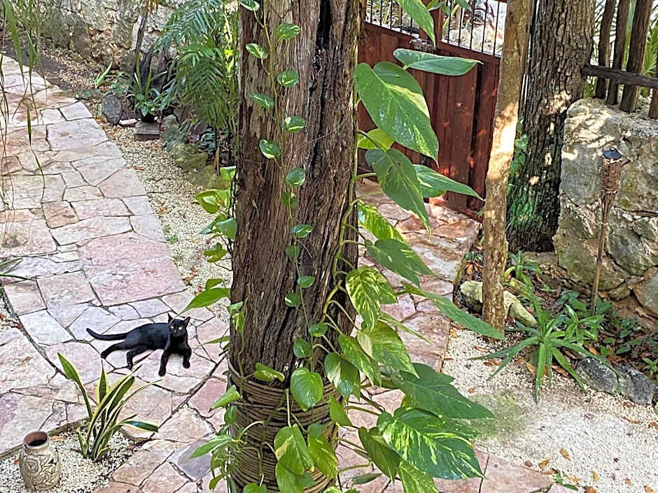 La Casa de María 11:11