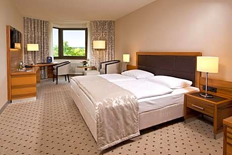 Superior double room for single use