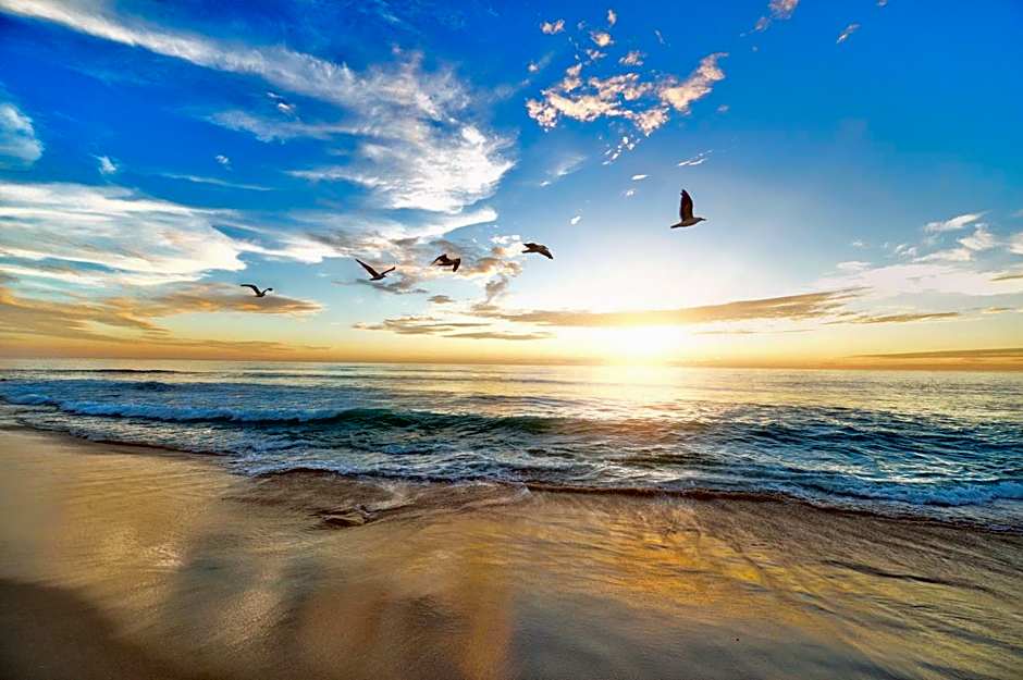 New 2025-Ocean Sands Beach Boutique Inn -Sauna and Saltwater-Mineral Pool until 4AM-Free Beach Bikes and Golf Carts for Famous 