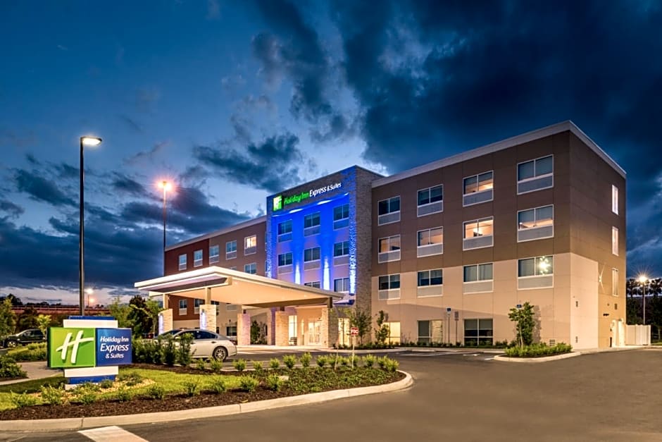 Holiday Inn Express & Suites Tampa North - Wesley Chapel