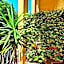 Hotel Annalena