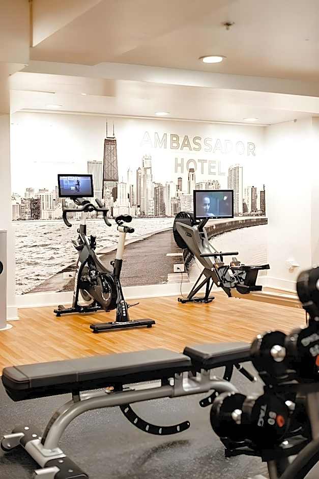 The Chicago Hotel Collection Ambassador Gold Coast