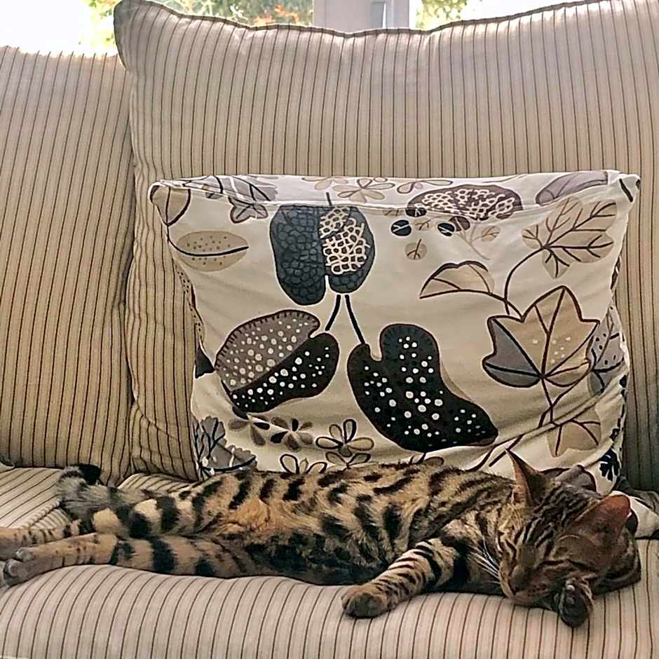 Au Gré Du Temps - Gîte B&B