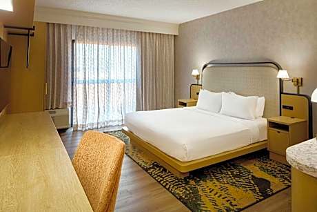 Room, 1 King Bed with Sofa bed (1 King Bed and 1 Double Sofa Bed)