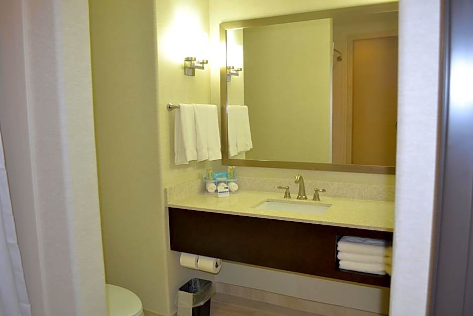 Holiday Inn Express Hotel and Suites Duncan By IHG