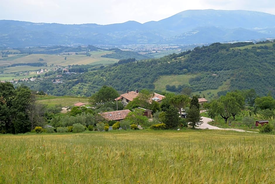 Agriturismo Terra Selvatica