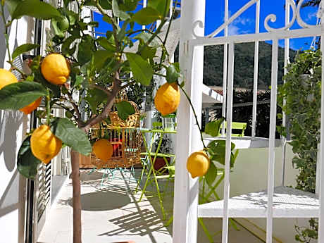 Superior Double or Twin Room with Terrace
