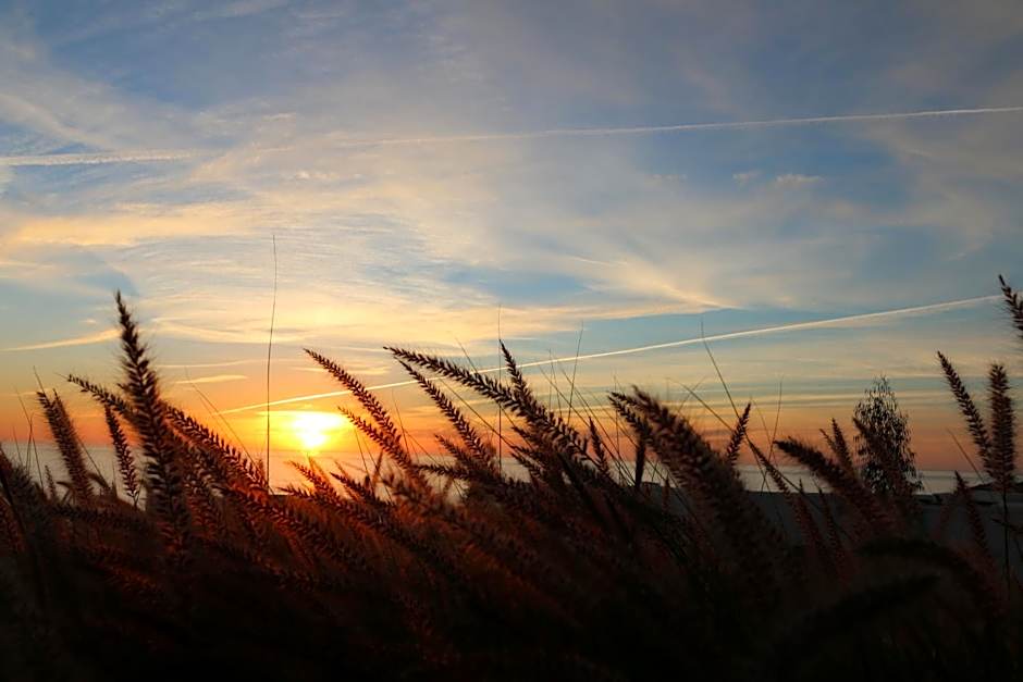 Lunja Village - Agadir