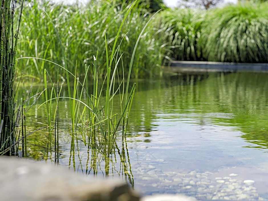 Novotel Lausanne Bussigny