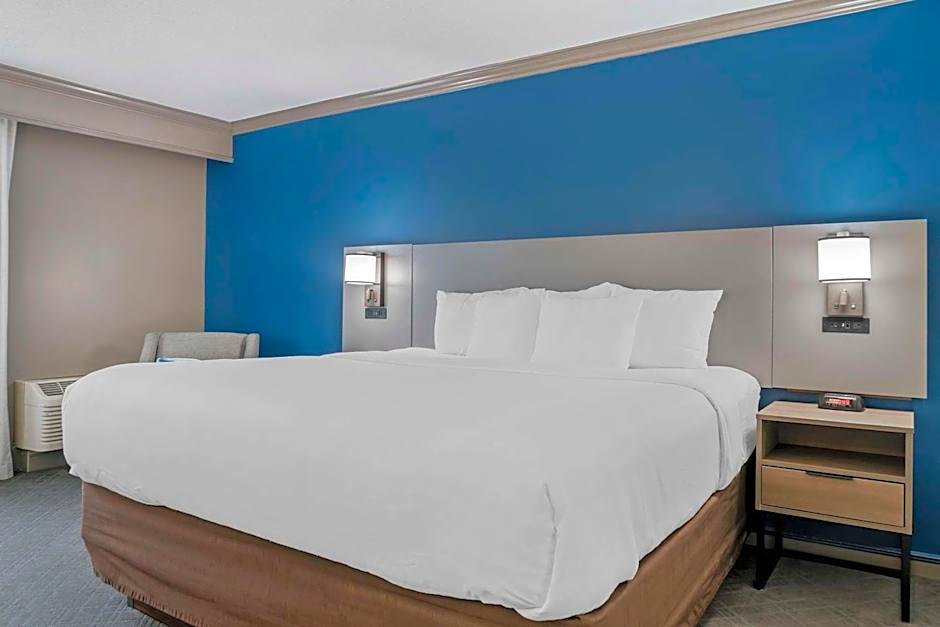Comfort Inn Plainwell
