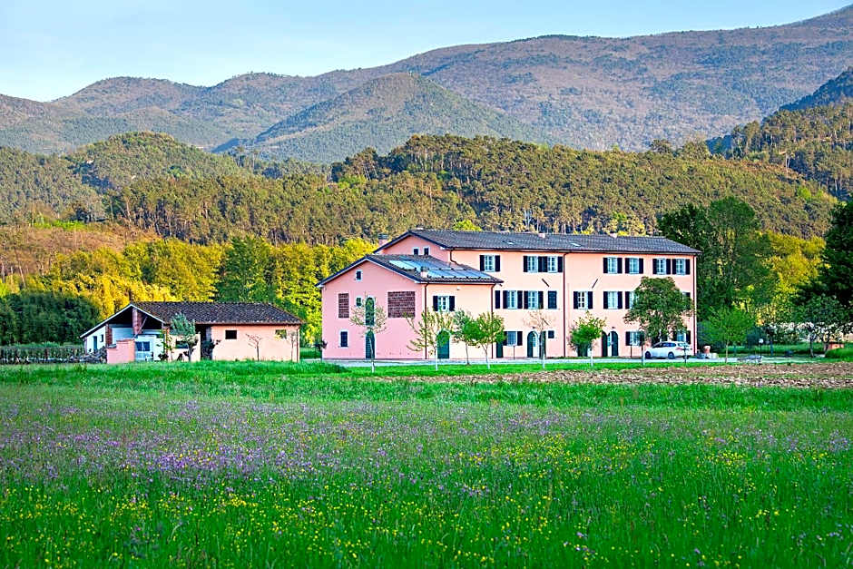 Tenuta San Giovanni Lucca