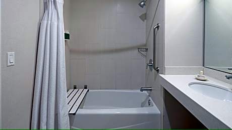 1 King Standard Mobility Accessible Tub