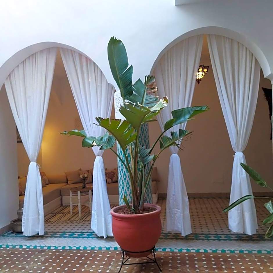 Riad El Arco ROOFTOP POOL & Spa