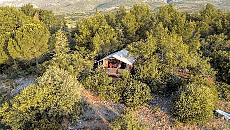 Camping la Peiriere - Lodge en Pays Cathare