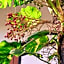 Casa Ana Ruth (Bucerias, Nay.)