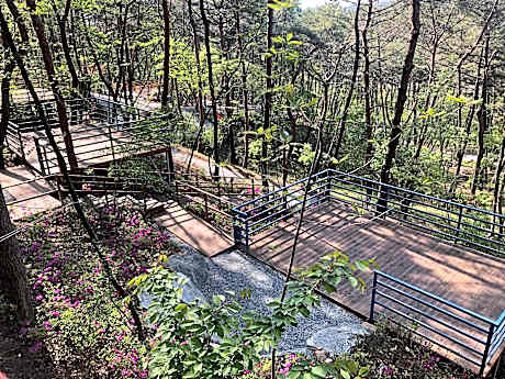 Taean oleyu campingjang