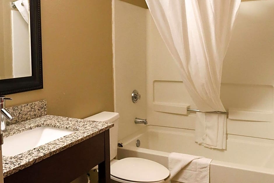 Econo Lodge Inn and Suites Greenville