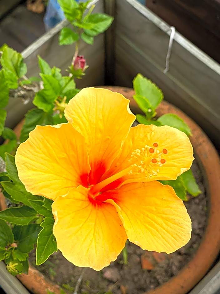 Suítes Balneário Camboriú